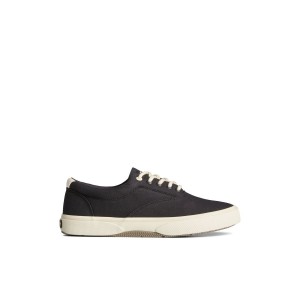 Black Sperry Halyard CVO Sneakers | 7936045-ZP