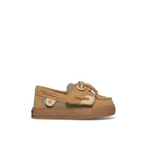 Brown Sperry Intrepid II Crib | 8257409-KL