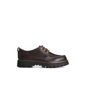 Brown Sperry Mountain-Sider Oxford | 7142369-DF