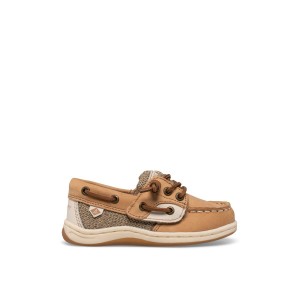 Brown Sperry Songfish Junior Boat Shoes | 9104276-US