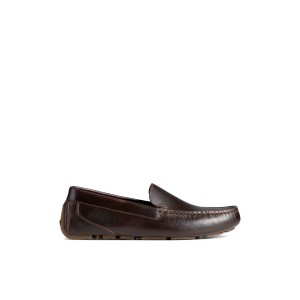 Dark Brown Sperry Davenport Venetian Driver | 7148569-KY