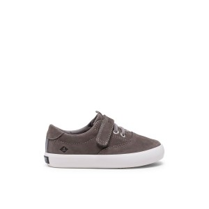 Grey Sperry Spinnaker Junior Washable Sneakers | 4302761-EW