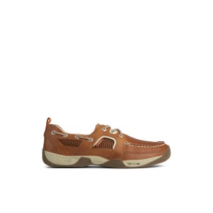 Light Brown Sperry Sea Kite Sport Moc Boat Shoes | 1243506-GF