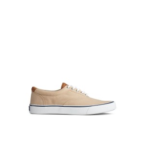 Medium Beige Sperry Striper II CVO Sneakers | 5842617-XG