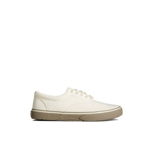 Natural Sperry Halyard CVO Sneakers | 5317286-GR