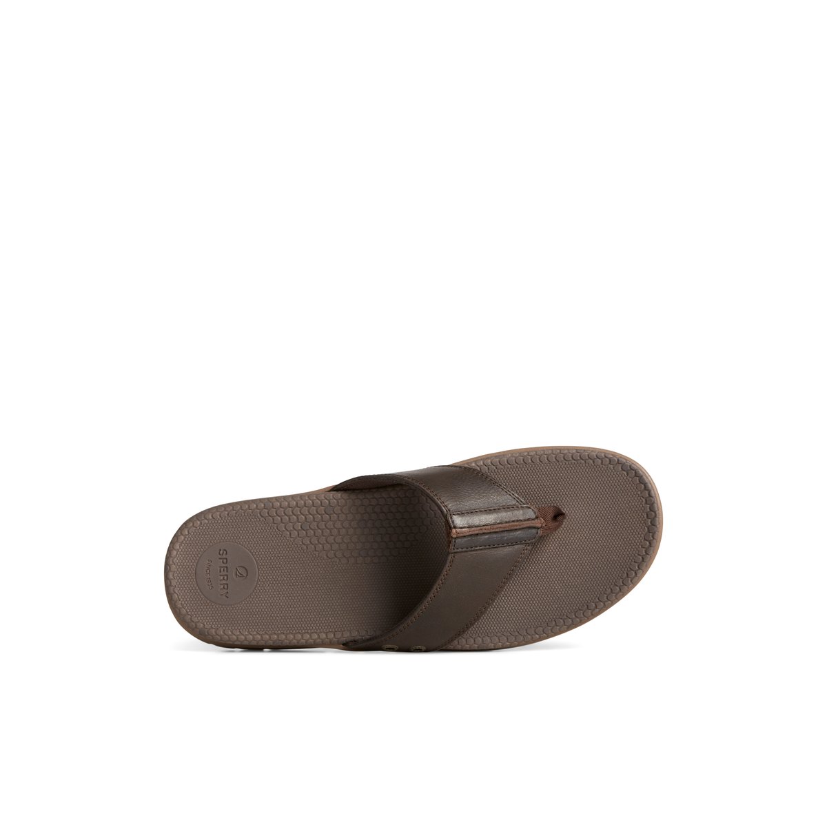 Brown Sperry Santa Cruz II Thong Sandal | 8026174-OW