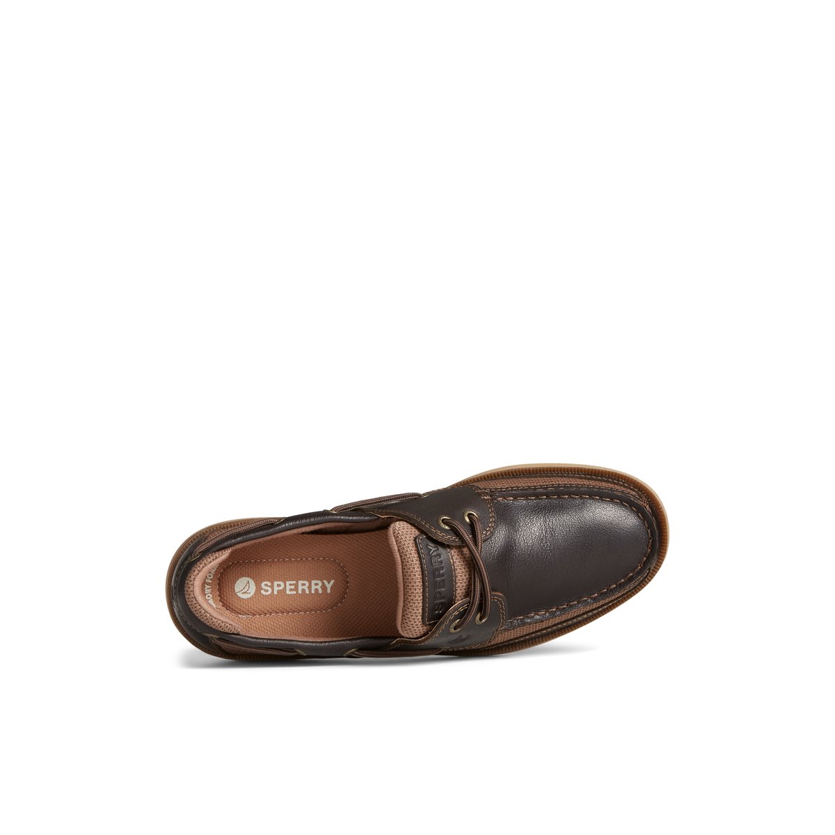 Dark Brown Sperry Surveyor 2-Eye Boat Shoes | 4056179-XN