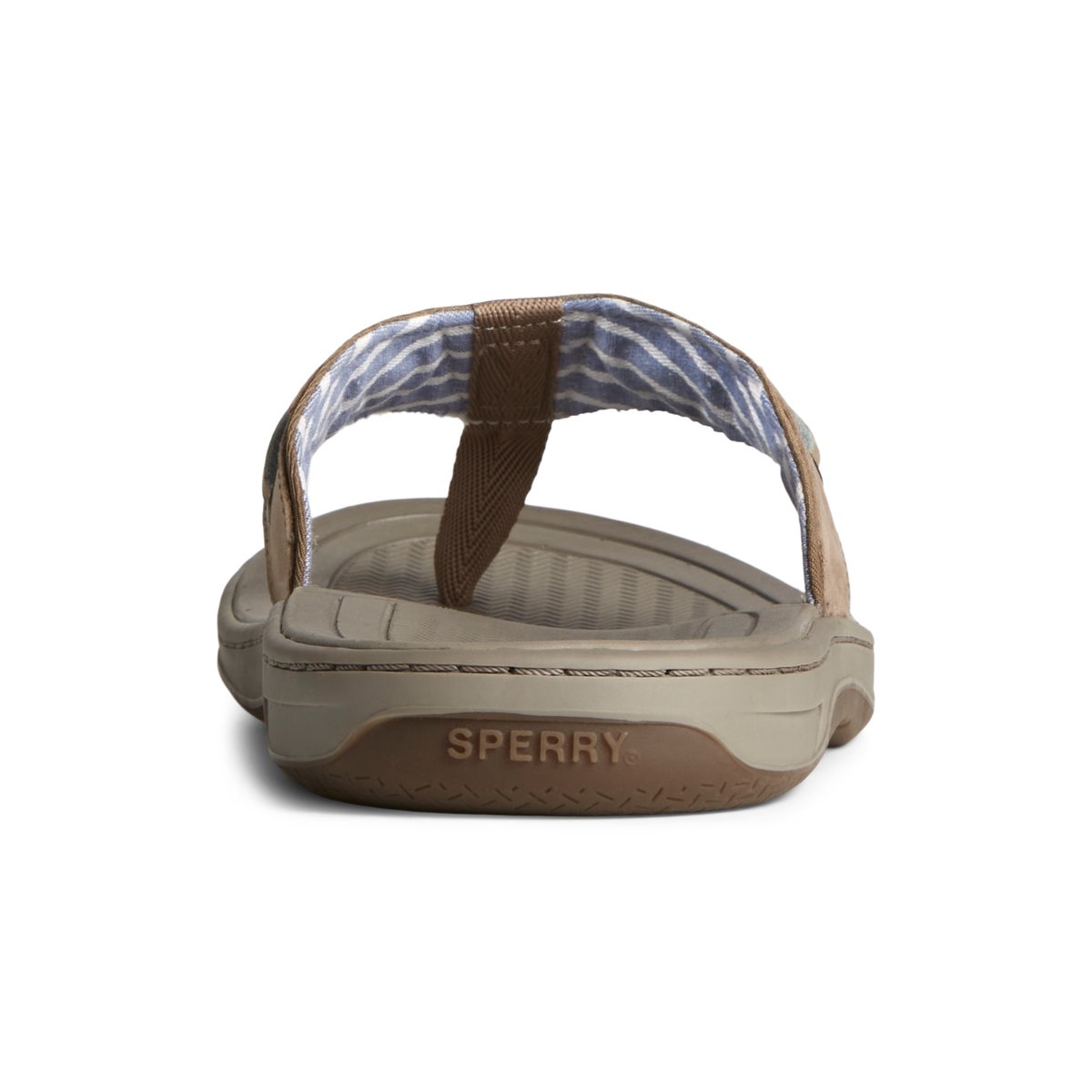 Medium Beige Sperry Baitfish Leather Flip Flop | 0327589-AY