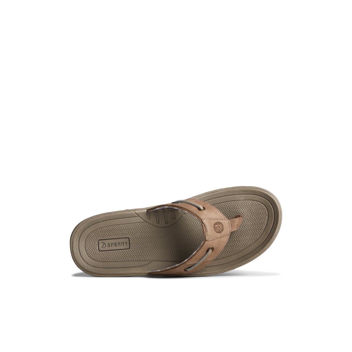 Medium Beige Sperry Baitfish Leather Flip Flop | 0327589-AY